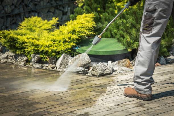 Best Spring Cleaning  in Flemington, GA