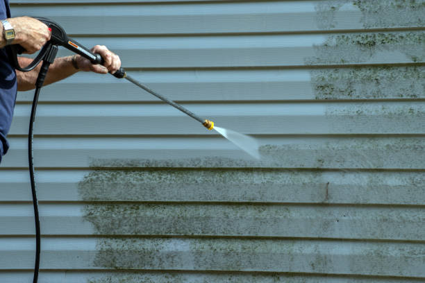 Best Solar Panel Cleaning  in Flemington, GA