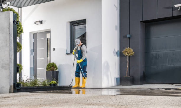 Best Animal Enclosure Cleaning  in Flemington, GA